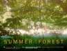 Summer in the Forest poster
